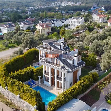 Sofia Villa *